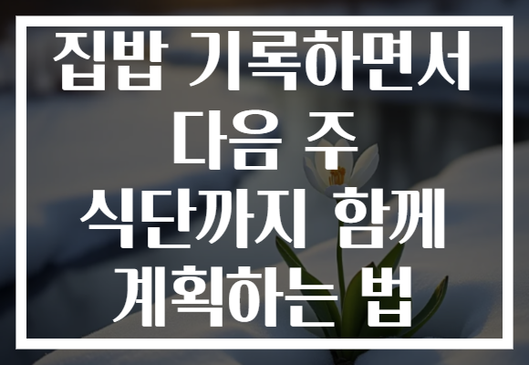 집밥 기록하면서 다음 주 식단까지 함께 계획하는 법 집밥 기록하면서 다음 주 식단까지 함께 계획하는 법