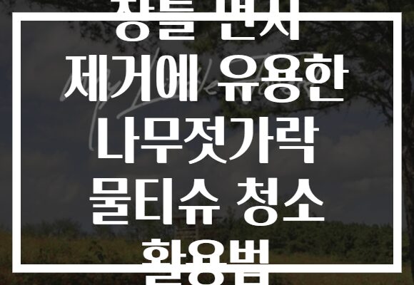 창틀 먼지 제거에 유용한 나무젓가락 물티슈 청소 활용법 창틀 먼지 제거에 유용한 나무젓가락 물티슈 청소 활용법