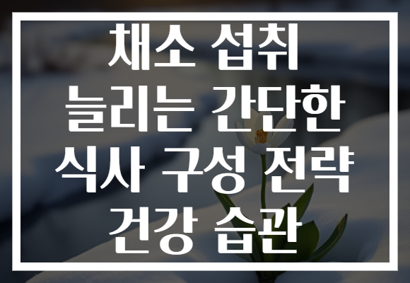 채소 섭취 늘리는 간단한 식사 구성 전략 건강 습관