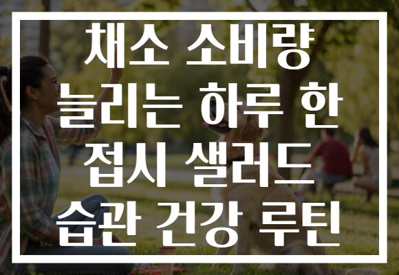 채소 소비량 늘리는 하루 한 접시 샐러드 습관 건강 루틴 채소 소비량 늘리는 하루 한 접시 샐러드 습관 건강 루틴