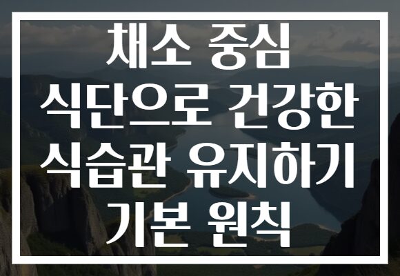 채소 중심 식단으로 건강한 식습관 유지하기 기본 원칙 채소 중심 식단으로 건강한 식습관 유지하기 기본 원칙