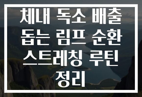 체내 독소 배출 돕는 림프 순환 스트레칭 루틴 정리 체내 독소 배출 돕는 림프 순환 스트레칭 루틴 정리