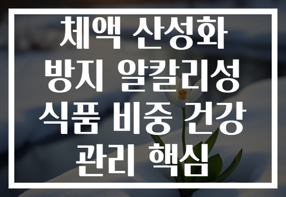 체액 산성화 방지 알칼리성 식품 비중 건강 관리 핵심
