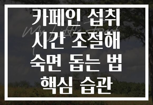 카페인 섭취 시간 조절해 숙면 돕는 법 핵심 습관