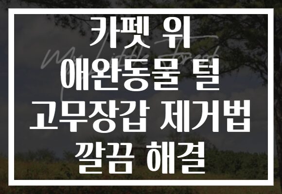 카펫 위 애완동물 털 고무장갑 제거법 깔끔 해결 카펫 위 애완동물 털 고무장갑 제거법 깔끔 해결