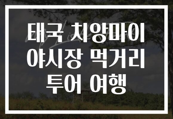 태국 치앙마이 야시장 먹거리 투어 여행