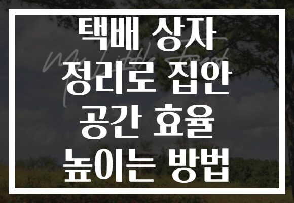 택배 상자 정리로 집안 공간 효율 높이는 방법