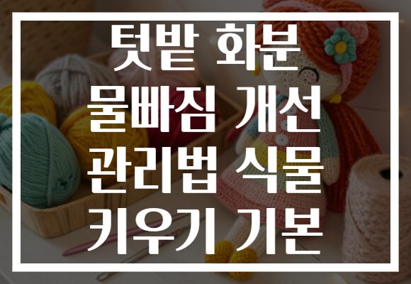 텃밭 화분 물빠짐 개선 관리법 식물 키우기 기본 텃밭 화분 물빠짐 개선 관리법 식물 키우기 기본