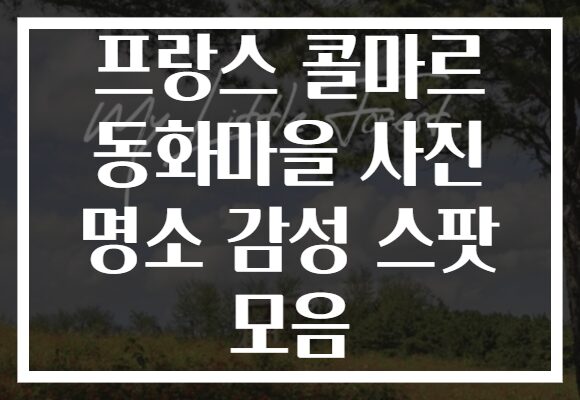 프랑스 콜마르 동화마을 사진 명소 감성 스팟 모음