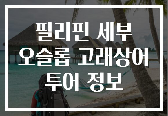필리핀 세부 오슬롭 고래상어 투어 정보