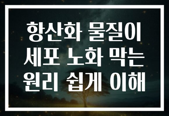 항산화 물질이 세포 노화 막는 원리 쉽게 이해 항산화 물질이 세포 노화 막는 원리 쉽게 이해
