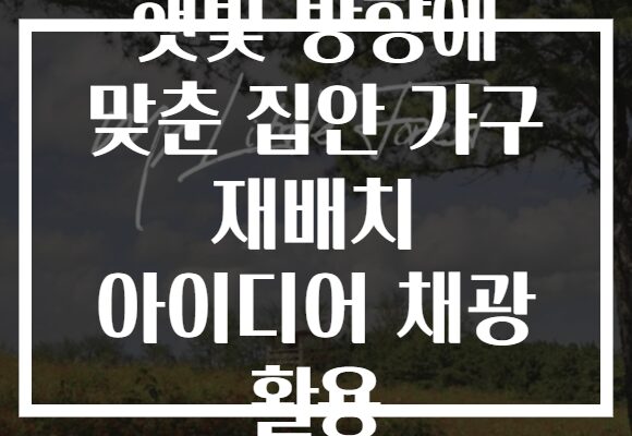 햇빛 방향에 맞춘 집안 가구 재배치 아이디어 채광 활용