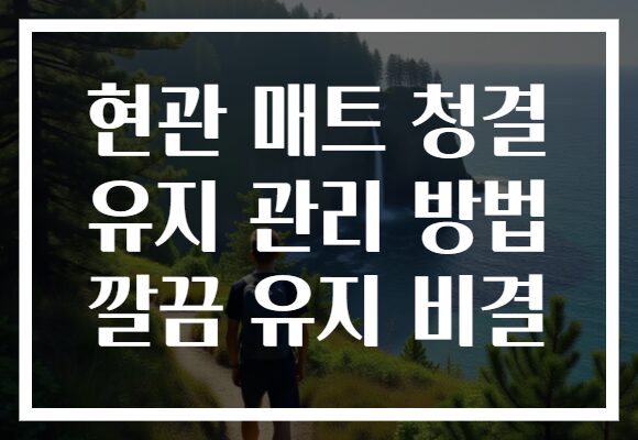 현관 매트 청결 유지 관리 방법 깔끔 유지 비결