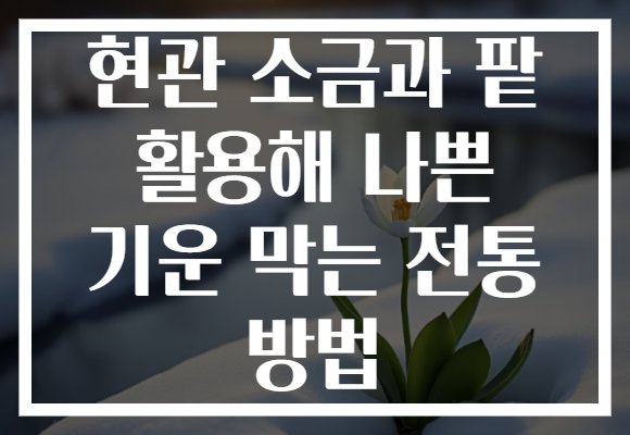 현관 소금과 팥 활용해 나쁜 기운 막는 전통 방법