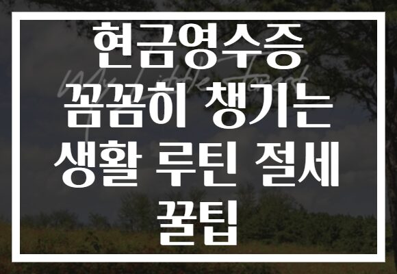 현금영수증 꼼꼼히 챙기는 생활 루틴 절세 꿀팁 현금영수증 꼼꼼히 챙기는 생활 루틴 절세 꿀팁