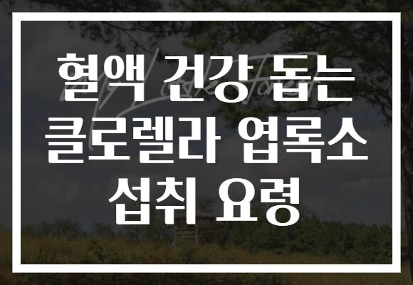 혈액 건강 돕는 클로렐라 엽록소 섭취 요령