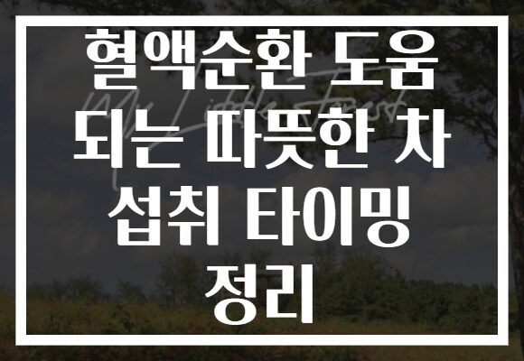 혈액순환 도움 되는 따뜻한 차 섭취 타이밍 정리