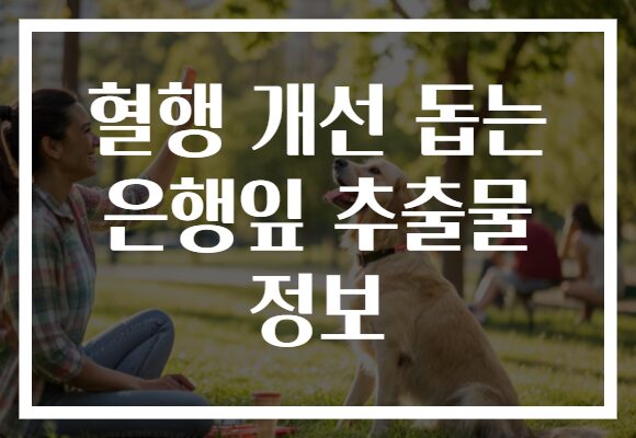 혈행 개선 돕는 은행잎 추출물 정보