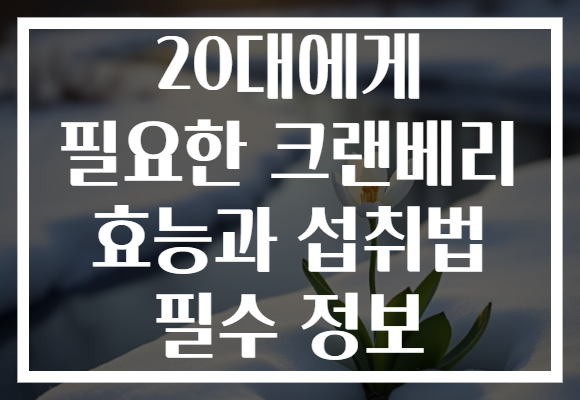 20대에게 필요한 크랜베리 효능과 섭취법 필수 정보