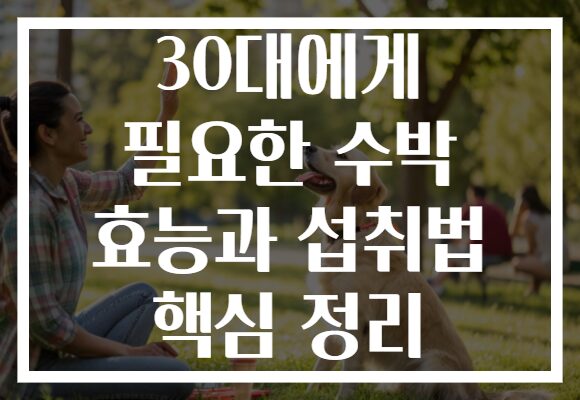 30대에게 필요한 수박 효능과 섭취법 핵심 정리