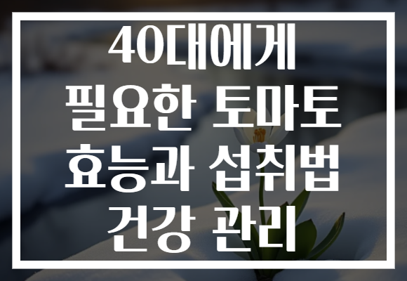 40대에게 필요한 토마토 효능과 섭취법 건강 관리
