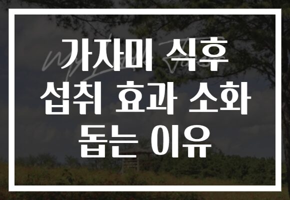 가자미 식후 섭취 효과 소화 돕는 이유