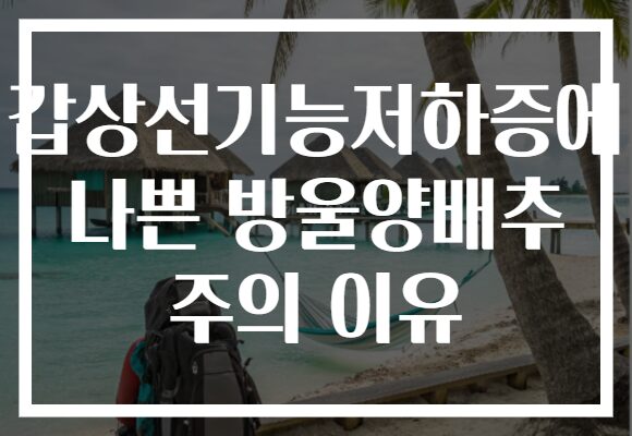 갑상선기능저하증에 나쁜 방울양배추 주의 이유