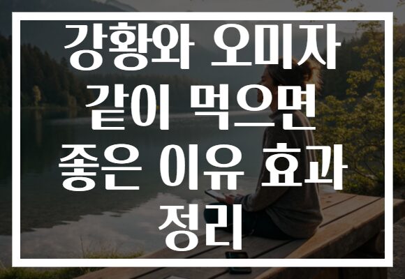 강황와 오미자 같이 먹으면 좋은 이유 효과 정리 강황와 오미자 같이 먹으면 좋은 이유 효과 정리