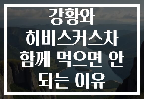 강황와 히비스커스차 함께 먹으면 안 되는 이유 강황와 히비스커스차 함께 먹으면 안 되는 이유