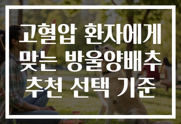 고혈압 환자에게 맞는 방울양배추 추천 선택 기준 고혈압 환자에게 맞는 방울양배추 추천 선택 기준