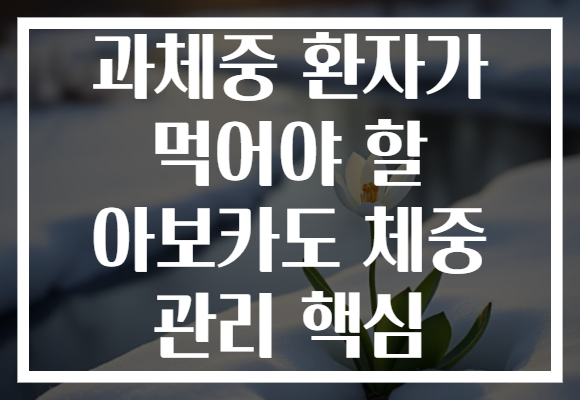 과체중 환자가 먹어야 할 아보카도 체중 관리 핵심