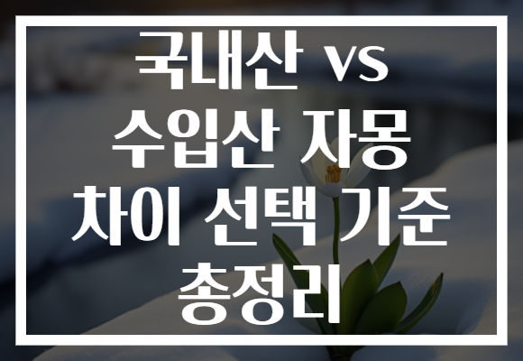 국내산 vs 수입산 자몽 차이 선택 기준 총정리