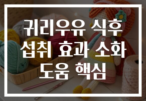 귀리우유 식후 섭취 효과 소화 도움 핵심