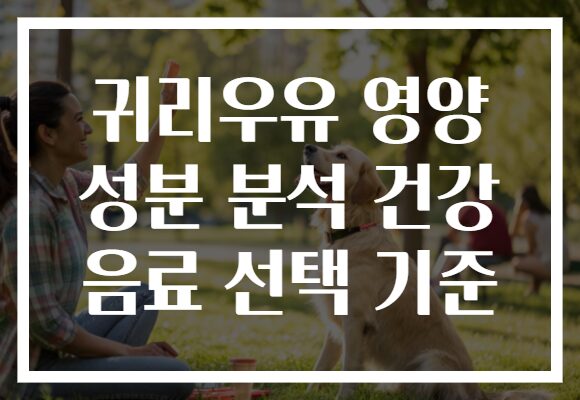 귀리우유 영양 성분 분석 건강 음료 선택 기준 귀리우유 영양 성분 분석 건강 음료 선택 기준
