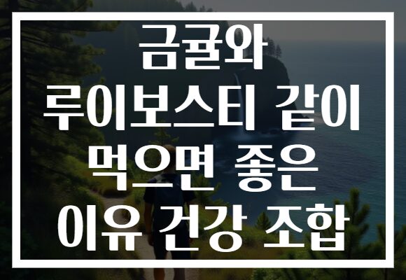 금귤와 루이보스티 같이 먹으면 좋은 이유 건강 조합