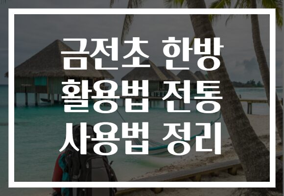 금전초 한방 활용법 전통 사용법 정리 금전초 한방 활용법 전통 사용법 정리