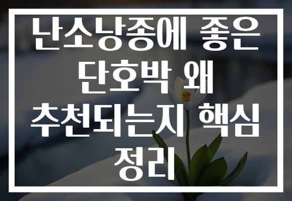 난소낭종에 좋은 단호박 왜 추천되는지 핵심 정리