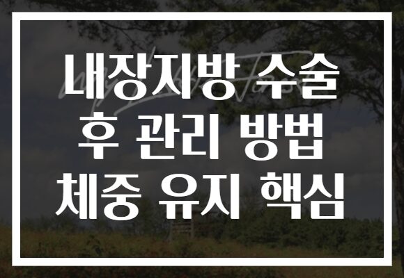 내장지방 수술 후 관리 방법 체중 유지 핵심