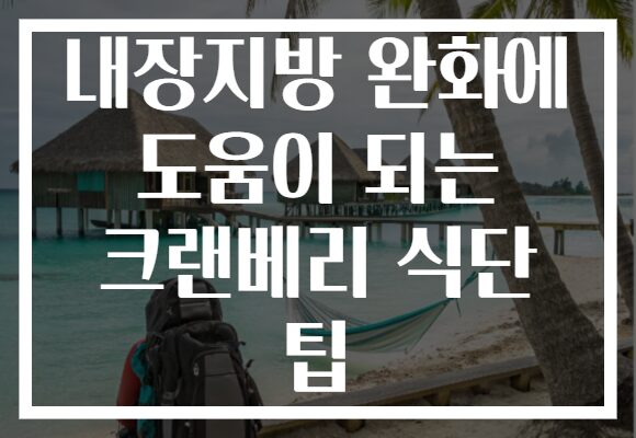 내장지방 완화에 도움이 되는 크랜베리 식단 팁