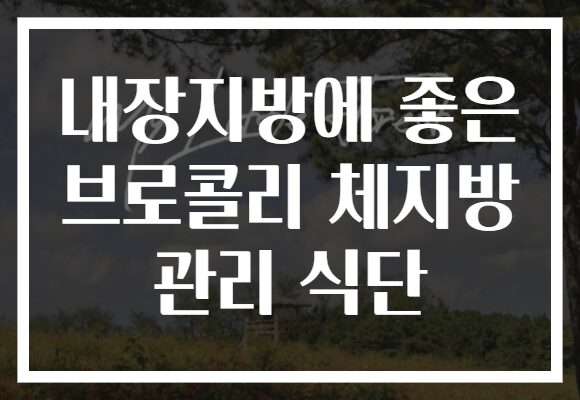내장지방에 좋은 브로콜리 체지방 관리 식단