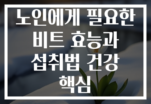노인에게 필요한 비트 효능과 섭취법 건강 핵심