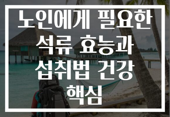 노인에게 필요한 석류 효능과 섭취법 건강 핵심