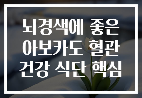 뇌경색에 좋은 아보카도 혈관 건강 식단 핵심
