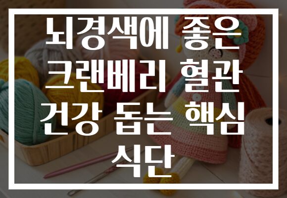 뇌경색에 좋은 크랜베리 혈관 건강 돕는 핵심 식단