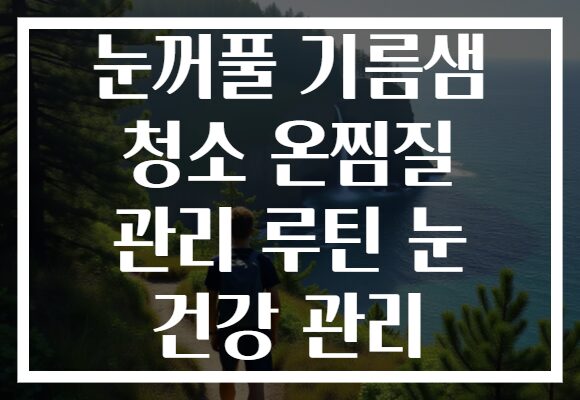 눈꺼풀 기름샘 청소 온찜질 관리 루틴 눈 건강 관리