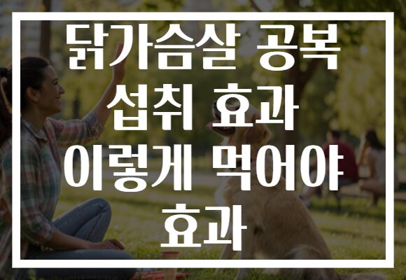 닭가슴살 공복 섭취 효과 이렇게 먹어야 효과