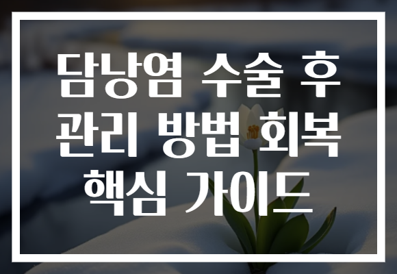 담낭염 수술 후 관리 방법 회복 핵심 가이드