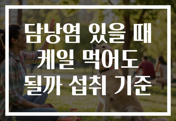 담낭염 있을 때 케일 먹어도 될까 섭취 기준 담낭염 있을 때 케일 먹어도 될까 섭취 기준
