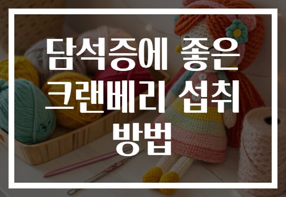 담석증에 좋은 크랜베리 섭취 방법 담석증에 좋은 크랜베리 섭취 방법
