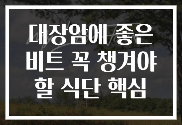 대장암에 좋은 비트 꼭 챙겨야 할 식단 핵심